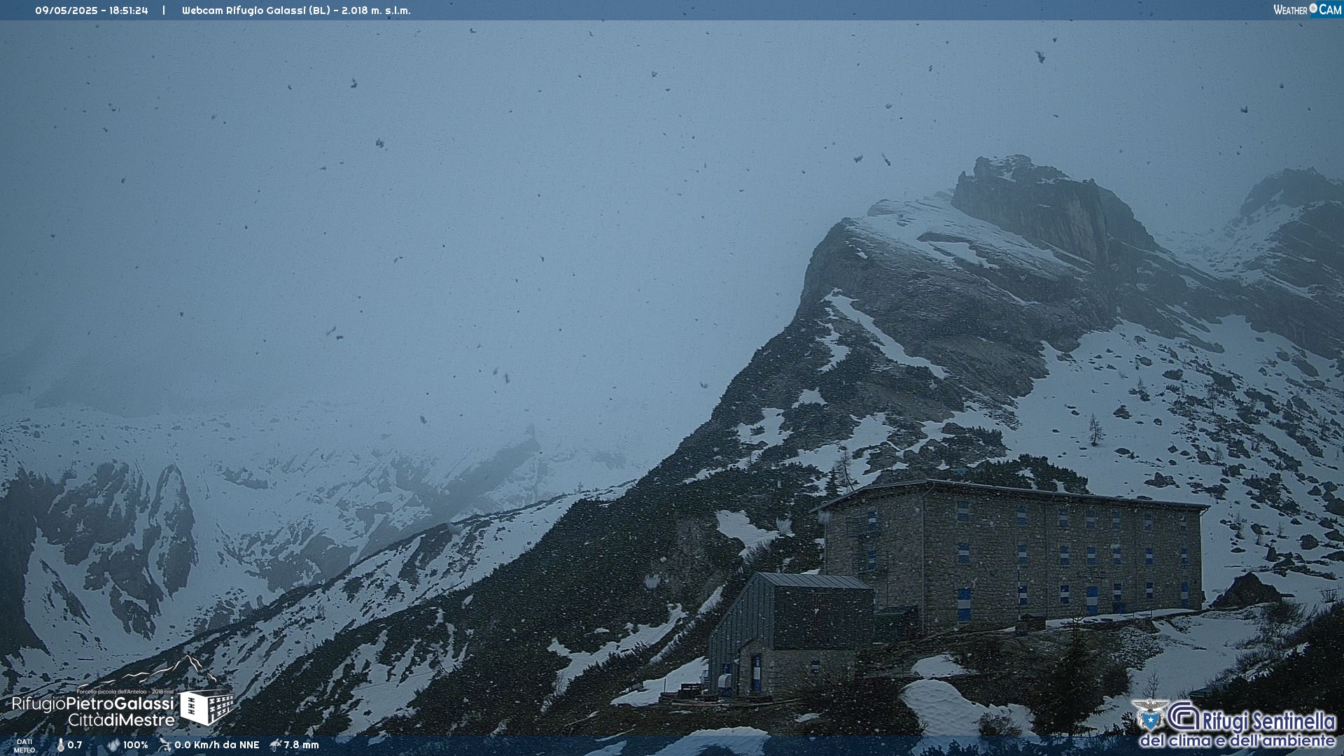 Webcam