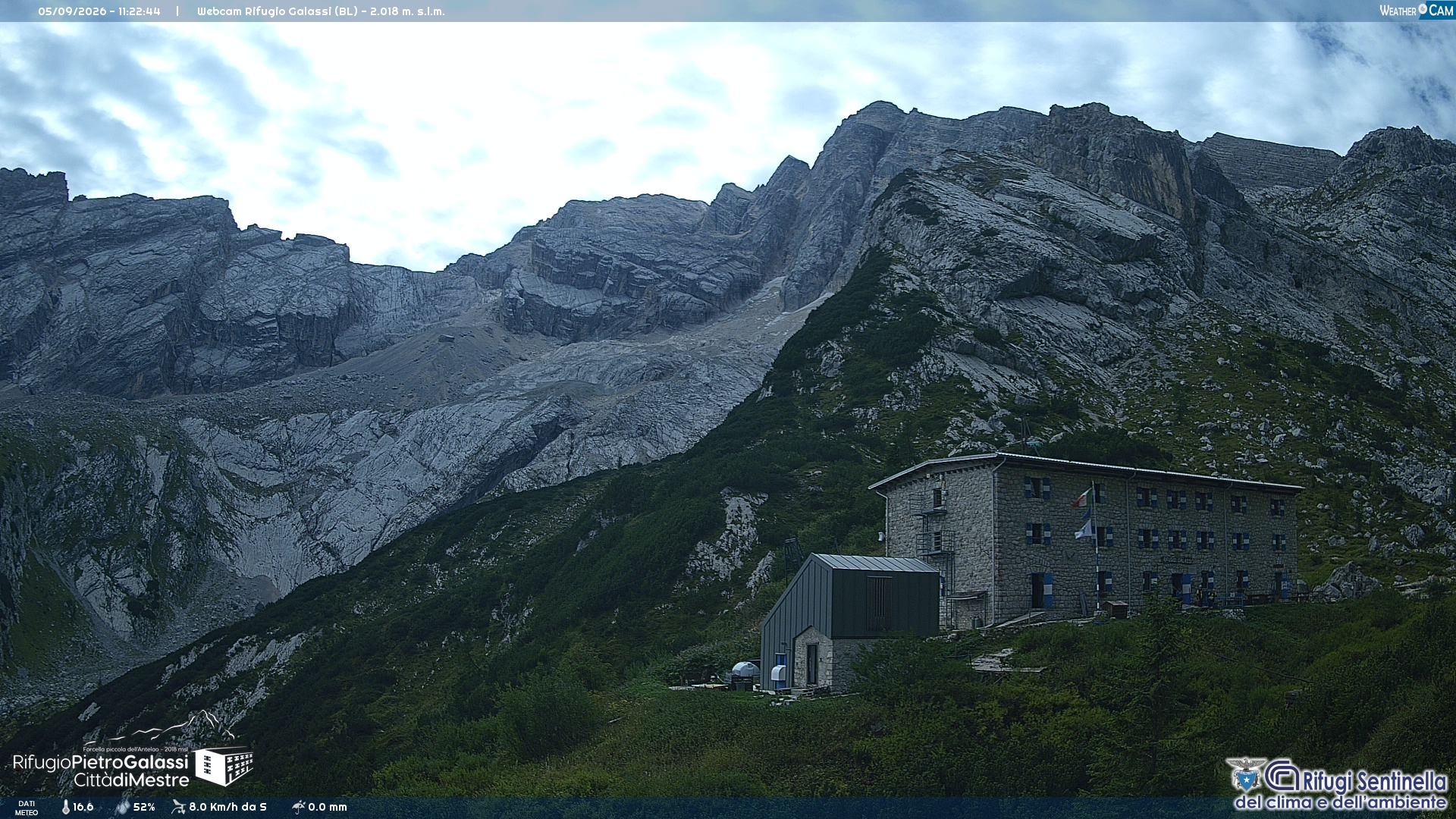 Webcam